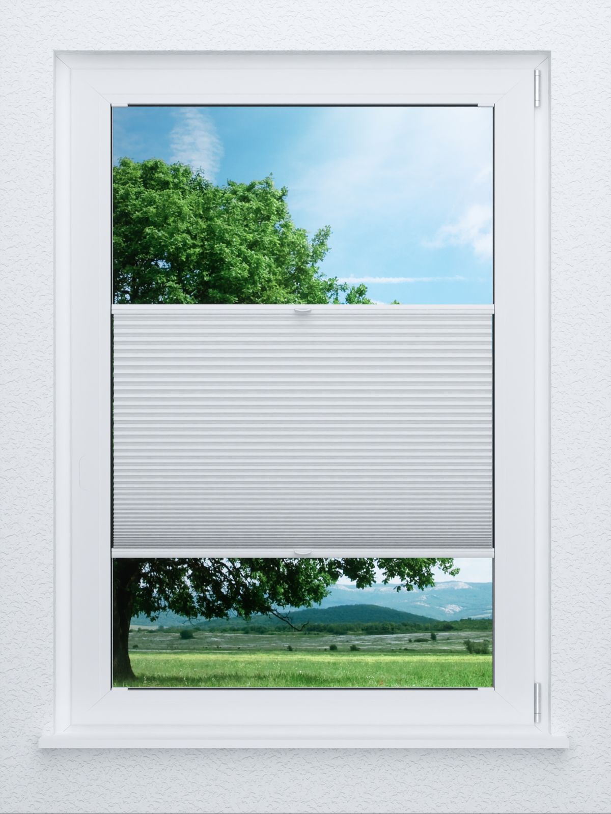 LYSEL Home Wabe 005A Chamber BO
